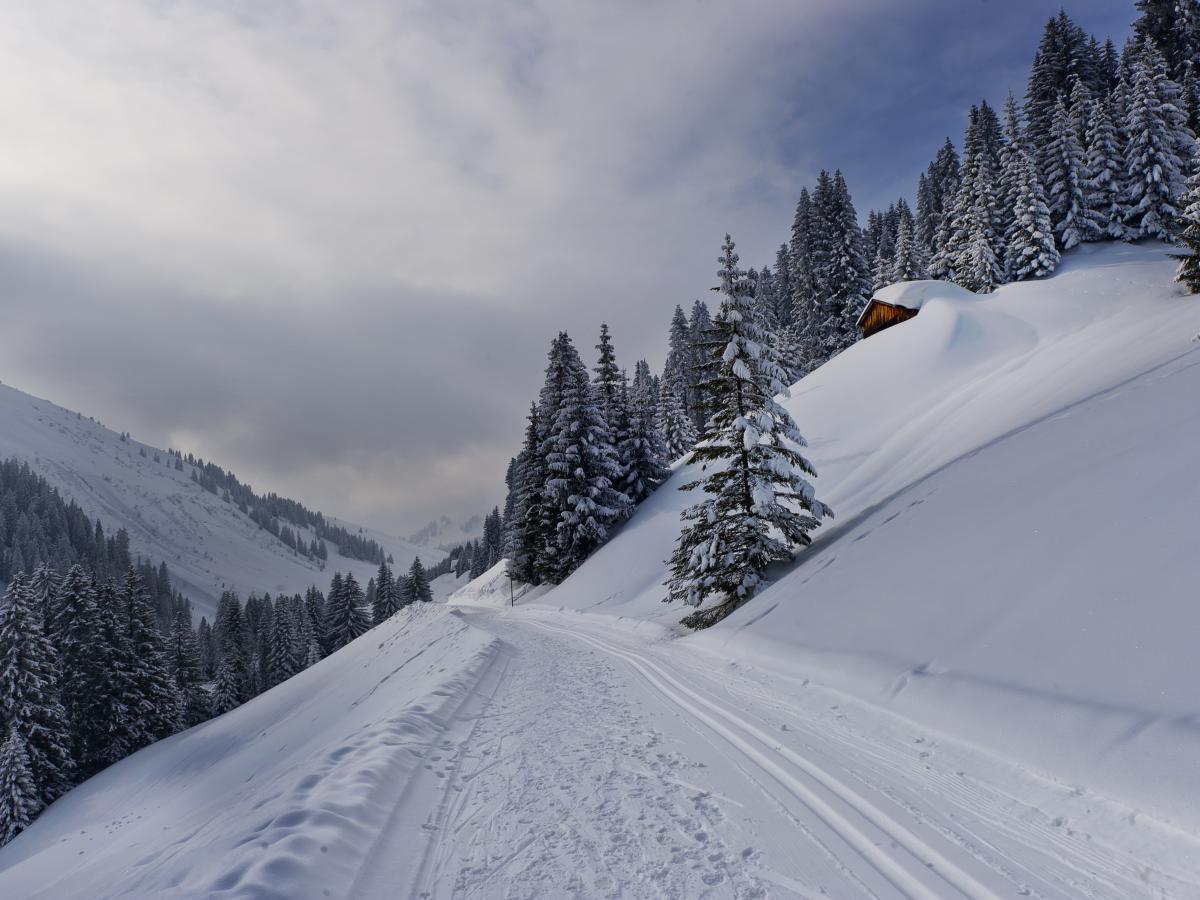 Loipe und Winterwanderweg in Damüls im Bregenzerwald